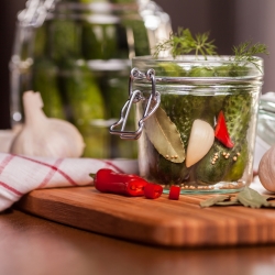 Ogórek krzaczasty Dar - można uprawiać w pojemnikach! - 165 nasion