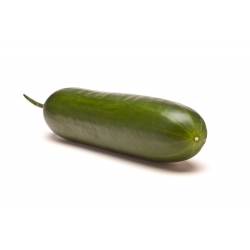 Ogórek sałatkowy Iwa - pod osłony - 35 nasion