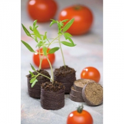 Krążki torfowe - pęczniejące - 27 mm - 204 szt.