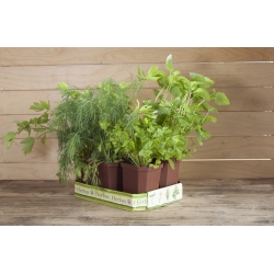 Koper Kronos - 2800 nasion