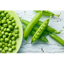 BIO Groch siewny łuskowy Progress 9 - Certyfikowane nasiona ekologiczne