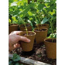 Doniczki torfowe okrągłe 11 x 13 cm śr. - 5 sztuk