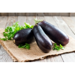 Oberżyna, Bakłażan Violetta Lunga 3 - 220 nasion