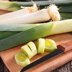 Por - Bartek - 320 nasion