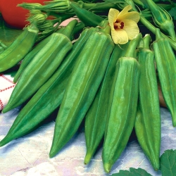 Ketmia jadalna - Okra - 30 nasion