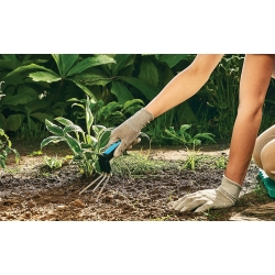 Wytrzymały kultywator - ERGO - CELLFAST