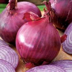 Cebula czerwona - Red Baron - 450 nasion