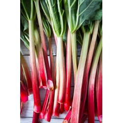 Rabarbar Victoria - 50 g