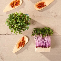Microgreens - Mizuna mix - młode listki o unikalnym smaku