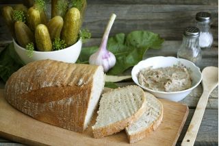 Ogórek Śremski F1 – nasiona otoczkowane - 50 nasion