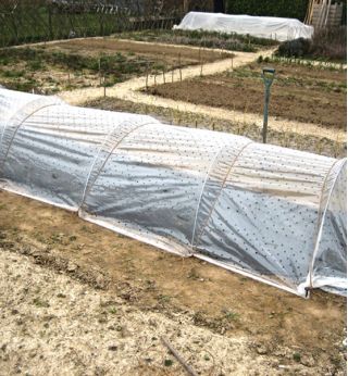 Folia perforowana przeźroczysta - 1,5 m x 10 m