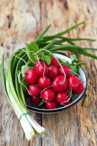 Rzodkiewka Rowa - NASIONA OTOCZKOWANE