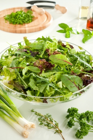 Świeże Listki - Mieszanka Włoska